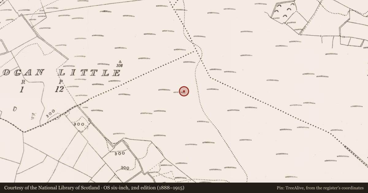 Ordnance Survey six-inch map, 2nd edition (1888–1915) covering the location of Structure - peatland, Rathdrum, County Offaly, with a pin at the register's coordinates