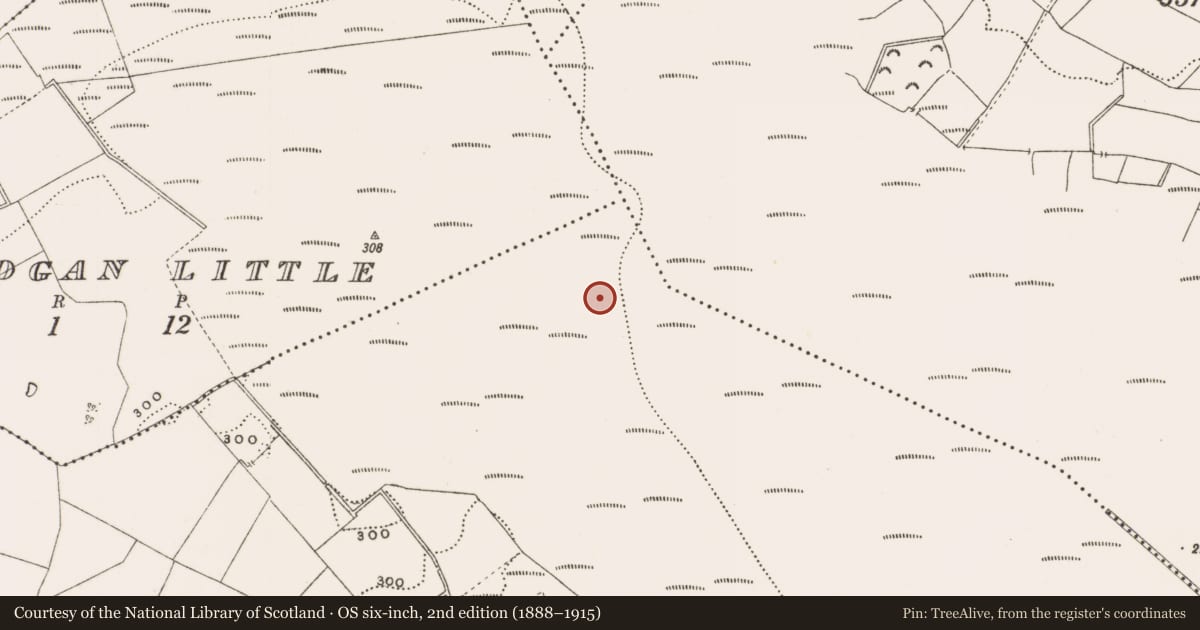 Ordnance Survey six-inch map, 2nd edition (1888–1915) covering the location of Structure - peatland, Rathdrum, County Offaly, with a pin at the register's coordinates