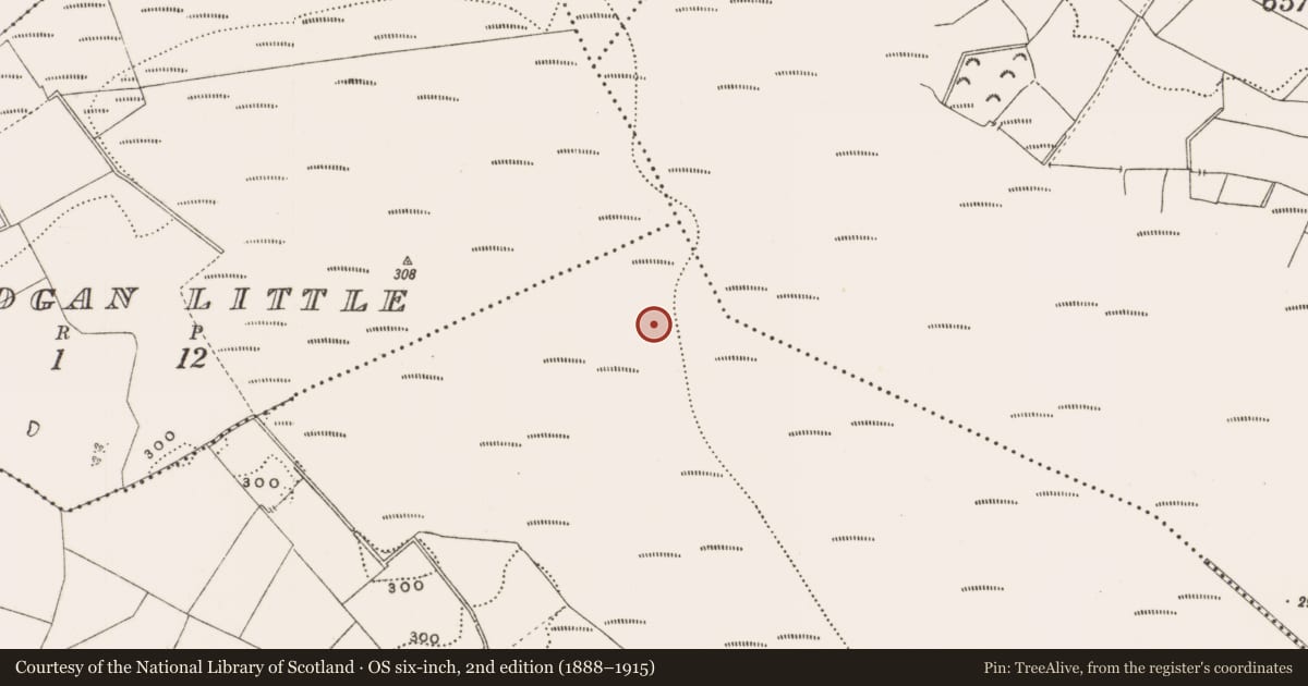 Ordnance Survey six-inch map, 2nd edition (1888–1915) covering the location of Structure - peatland, Rathdrum, County Offaly, with a pin at the register's coordinates