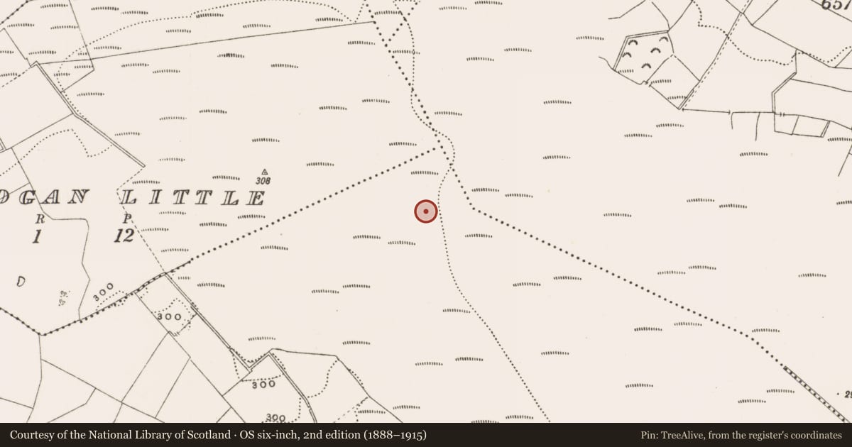 Ordnance Survey six-inch map, 2nd edition (1888–1915) covering the location of Structure - peatland, Rathdrum, County Offaly, with a pin at the register's coordinates