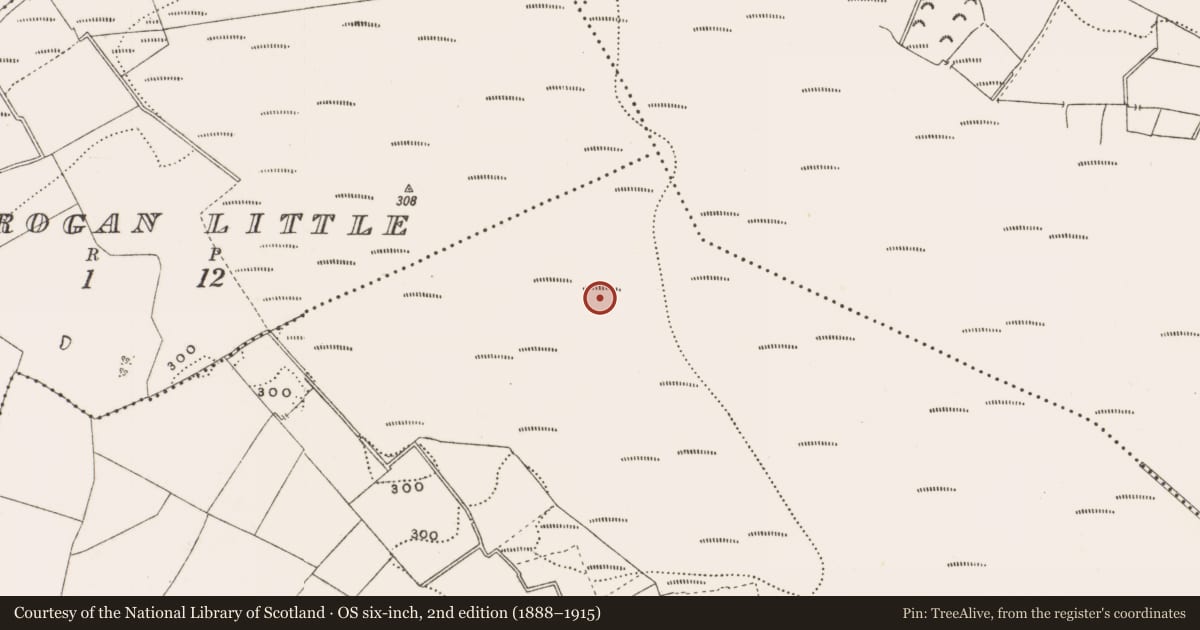 Ordnance Survey six-inch map, 2nd edition (1888–1915) covering the location of Structure - peatland, Rathdrum, County Offaly, with a pin at the register's coordinates