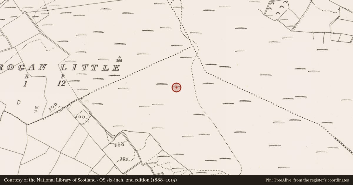 Ordnance Survey six-inch map, 2nd edition (1888–1915) covering the location of Structure - peatland, Rathdrum, County Offaly, with a pin at the register's coordinates