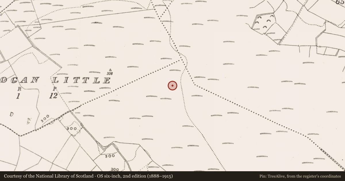 Ordnance Survey six-inch map, 2nd edition (1888–1915) covering the location of Structure - peatland, Rathdrum, County Offaly, with a pin at the register's coordinates
