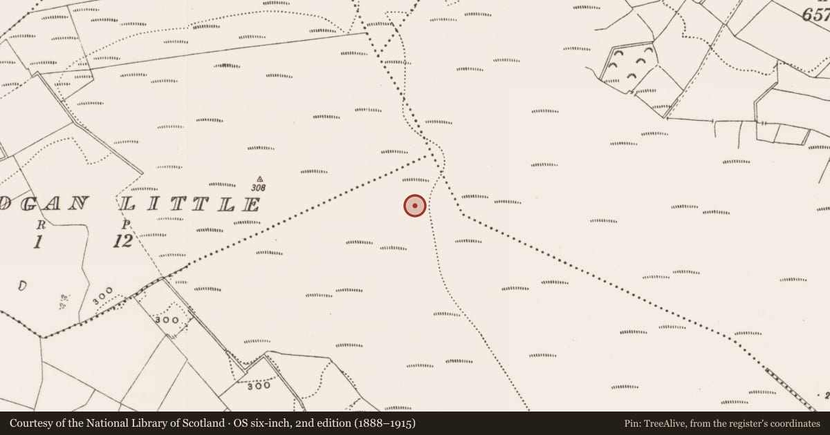Ordnance Survey six-inch map, 2nd edition (1888–1915) covering the location of Structure - peatland, Rathdrum, County Offaly, with a pin at the register's coordinates