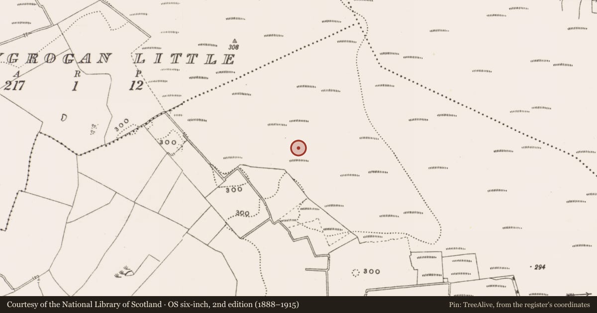 Ordnance Survey six-inch map, 2nd edition (1888–1915) covering the location of Structure - peatland, Rathdrum, County Offaly, with a pin at the register's coordinates