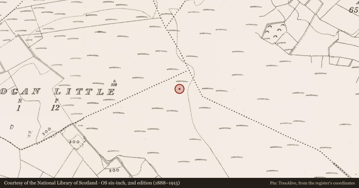 Ordnance Survey six-inch map, 2nd edition (1888–1915) covering the location of Structure - peatland, Rathdrum, County Offaly, with a pin at the register's coordinates