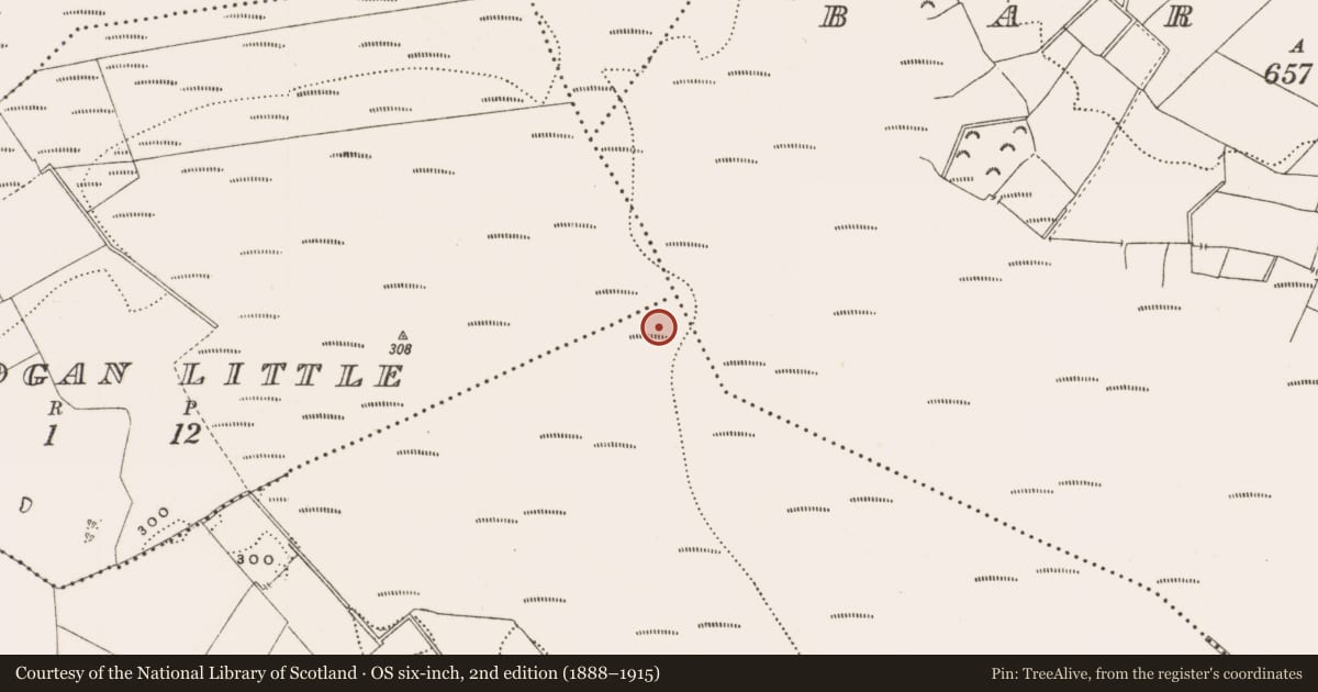 Ordnance Survey six-inch map, 2nd edition (1888–1915) covering the location of Structure - peatland, Rathdrum, County Offaly, with a pin at the register's coordinates