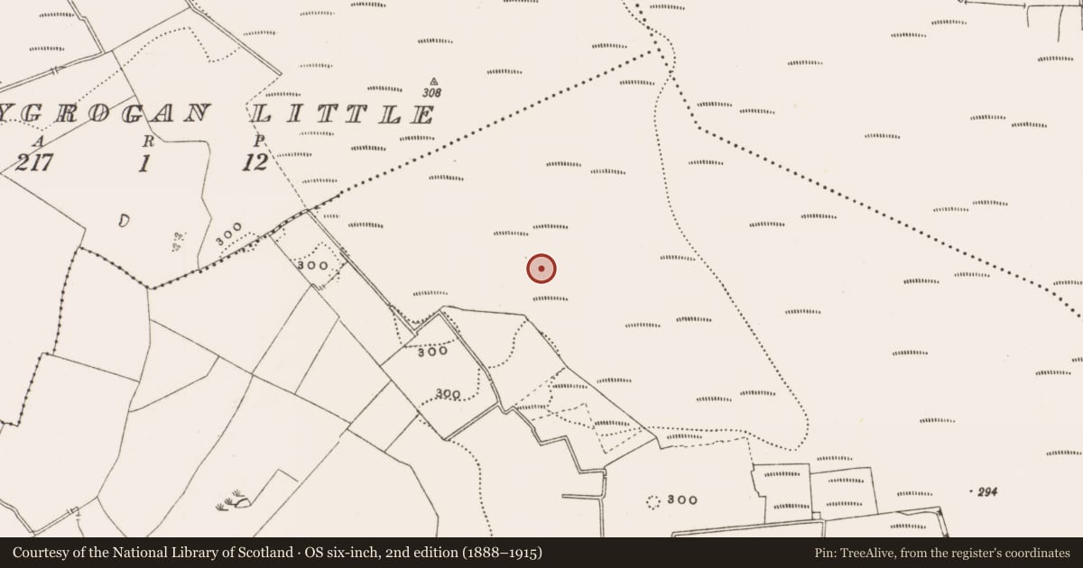 Ordnance Survey six-inch map, 2nd edition (1888–1915) covering the location of Structure - peatland, Rathdrum, County Offaly, with a pin at the register's coordinates