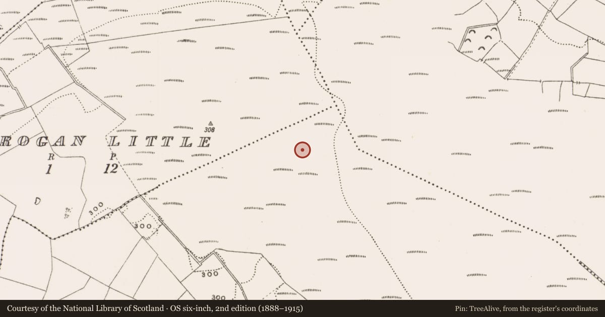 Ordnance Survey six-inch map, 2nd edition (1888–1915) covering the location of Structure - peatland, Rathdrum, County Offaly, with a pin at the register's coordinates