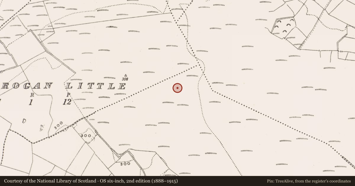 Ordnance Survey six-inch map, 2nd edition (1888–1915) covering the location of Structure - peatland, Rathdrum, County Offaly, with a pin at the register's coordinates