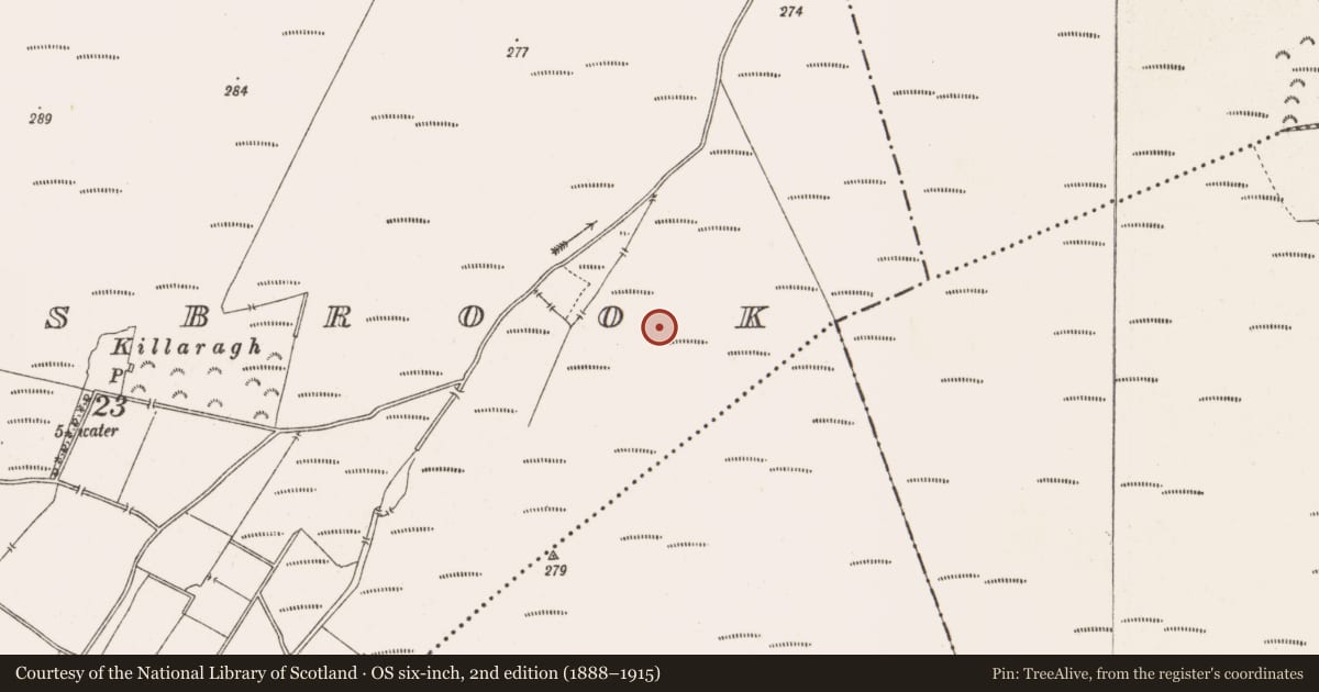 Ordnance Survey six-inch map, 2nd edition (1888–1915) covering the location of Structure - peatland, Barrysbrook, County Offaly, with a pin at the register's coordinates