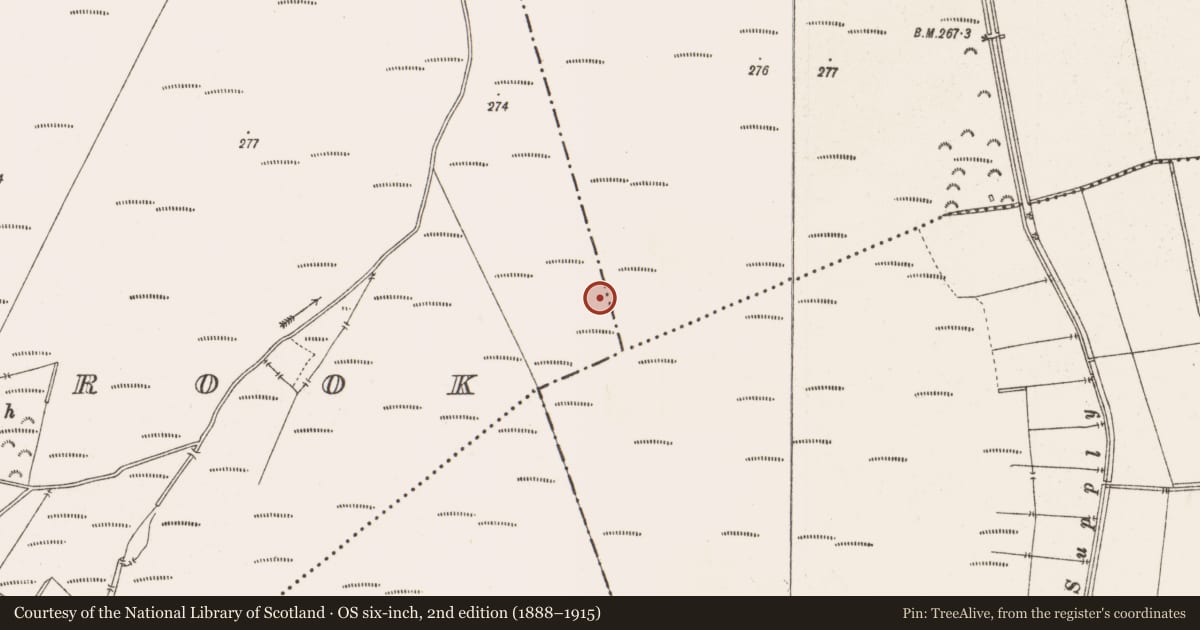 Ordnance Survey six-inch map, 2nd edition (1888–1915) covering the location of Structure - peatland, Barrysbrook, County Offaly, with a pin at the register's coordinates