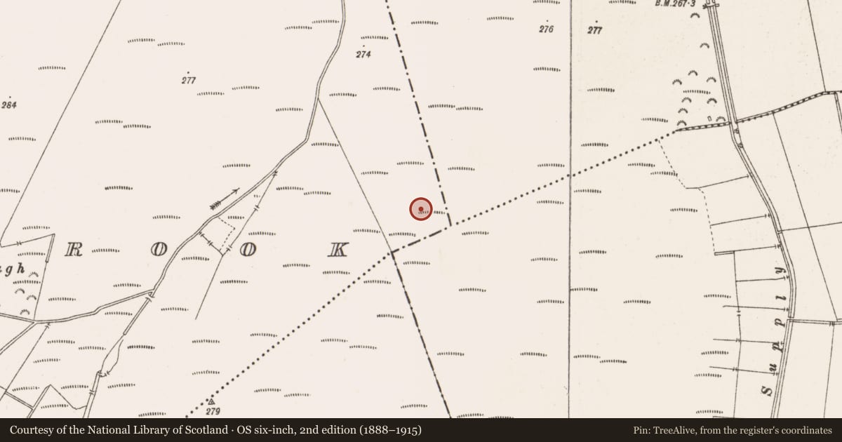 Ordnance Survey six-inch map, 2nd edition (1888–1915) covering the location of Structure - peatland, Barrysbrook, County Offaly, with a pin at the register's coordinates