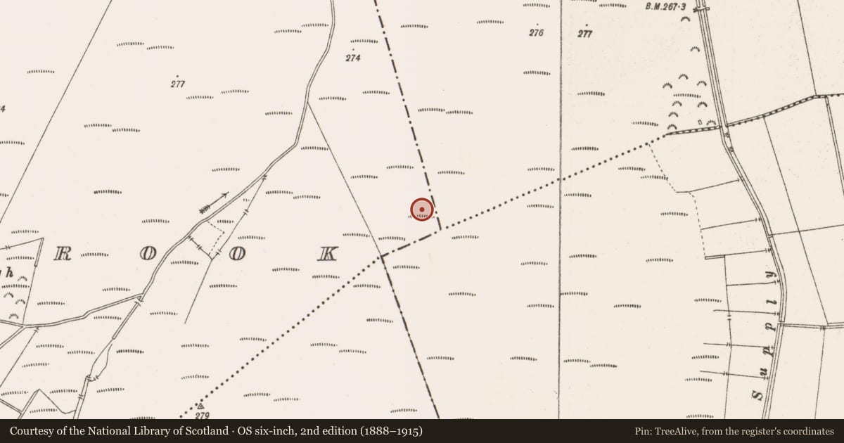 Ordnance Survey six-inch map, 2nd edition (1888–1915) covering the location of Structure - peatland, Barrysbrook, County Offaly, with a pin at the register's coordinates