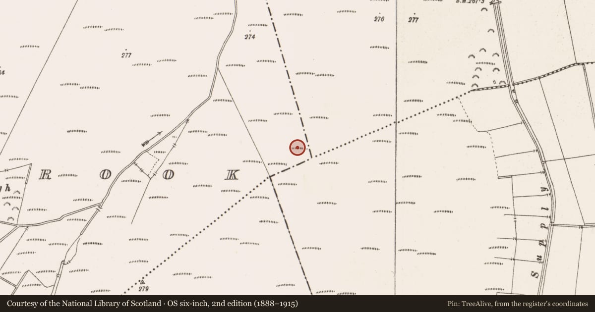 Ordnance Survey six-inch map, 2nd edition (1888–1915) covering the location of Structure - peatland, Barrysbrook, County Offaly, with a pin at the register's coordinates