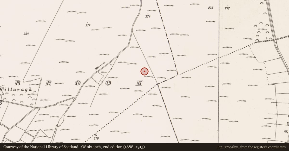 Ordnance Survey six-inch map, 2nd edition (1888–1915) covering the location of Structure - peatland, Barrysbrook, County Offaly, with a pin at the register's coordinates