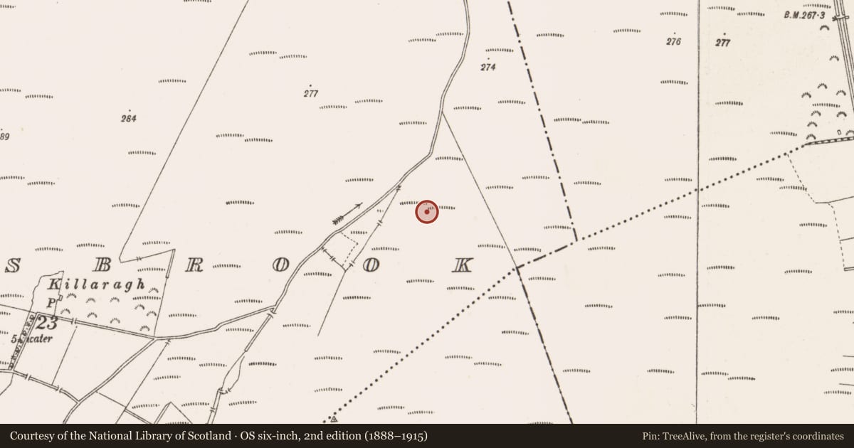 Ordnance Survey six-inch map, 2nd edition (1888–1915) covering the location of Road - class 3 togher, Barrysbrook, County Offaly, with a pin at the register's coordinates
