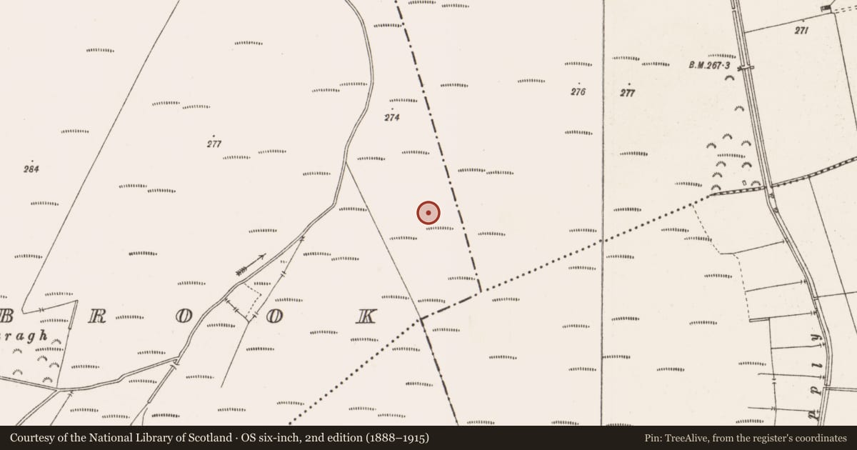 Ordnance Survey six-inch map, 2nd edition (1888–1915) covering the location of Road - class 3 togher, Barrysbrook, County Offaly, with a pin at the register's coordinates