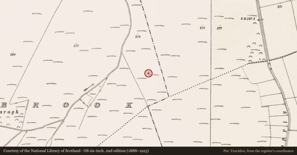 Ordnance Survey six-inch map, 2nd edition (1888–1915) covering the location of Structure - peatland, Barrysbrook, County Offaly, with a pin at the register's coordinates