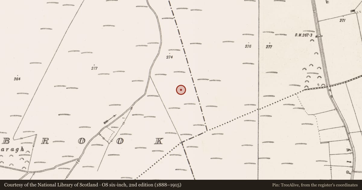 Ordnance Survey six-inch map, 2nd edition (1888–1915) covering the location of Structure - peatland, Barrysbrook, County Offaly, with a pin at the register's coordinates