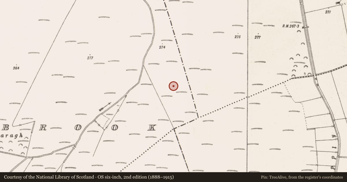 Ordnance Survey six-inch map, 2nd edition (1888–1915) covering the location of Structure - peatland, Barrysbrook, County Offaly, with a pin at the register's coordinates