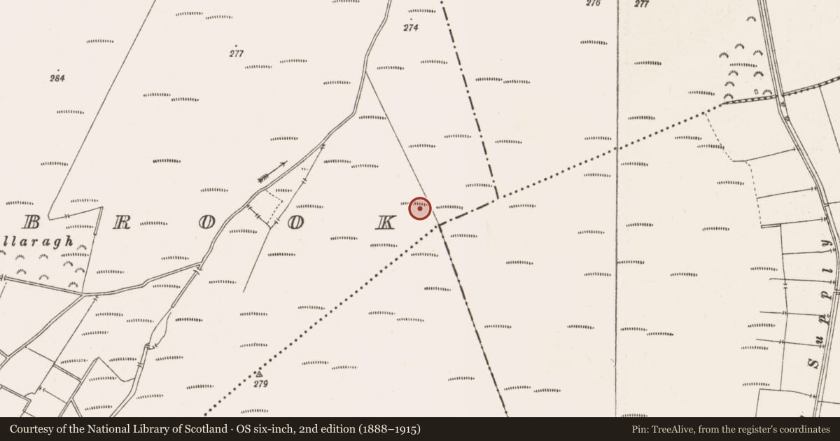 Ordnance Survey six-inch map, 2nd edition (1888–1915) covering the location of Road - class 2 togher, Barrysbrook, County Offaly, with a pin at the register's coordinates