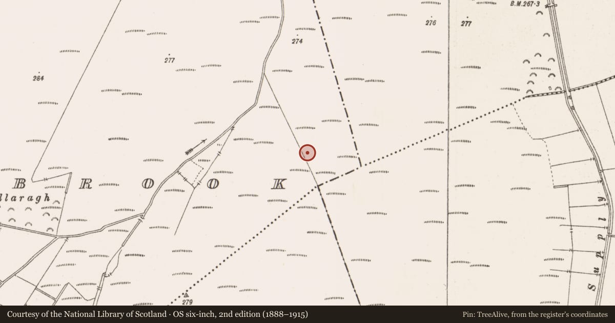 Ordnance Survey six-inch map, 2nd edition (1888–1915) covering the location of Structure - peatland, Barrysbrook, County Offaly, with a pin at the register's coordinates