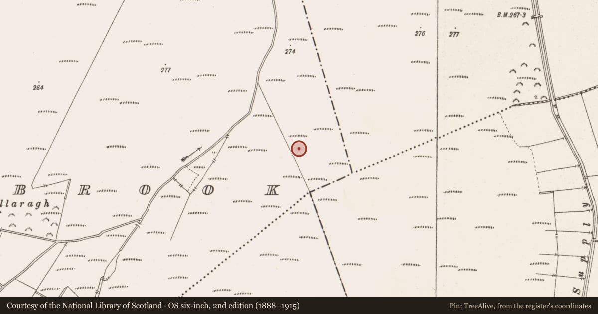 Ordnance Survey six-inch map, 2nd edition (1888–1915) covering the location of Road - class 3 togher, Barrysbrook, County Offaly, with a pin at the register's coordinates