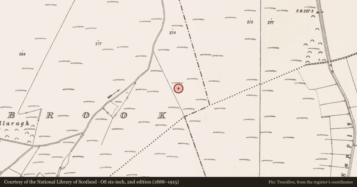 Ordnance Survey six-inch map, 2nd edition (1888–1915) covering the location of Structure - peatland, Barrysbrook, County Offaly, with a pin at the register's coordinates