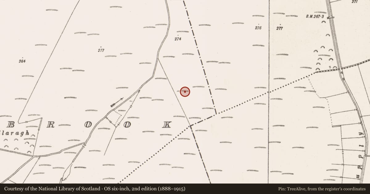 Ordnance Survey six-inch map, 2nd edition (1888–1915) covering the location of Structure - peatland, Barrysbrook, County Offaly, with a pin at the register's coordinates