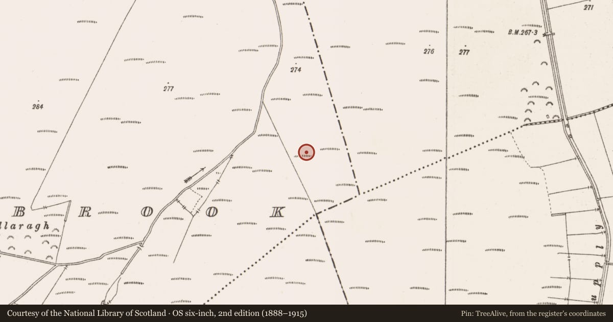 Ordnance Survey six-inch map, 2nd edition (1888–1915) covering the location of Road - class 3 togher, Barrysbrook, County Offaly, with a pin at the register's coordinates