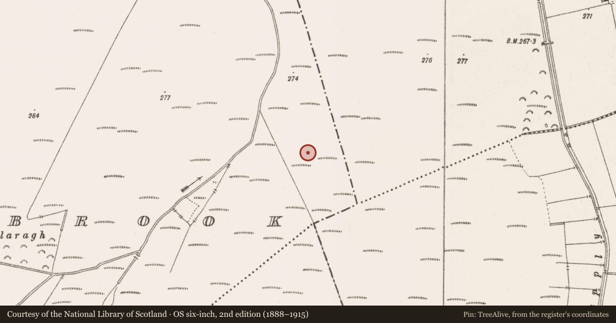 Ordnance Survey six-inch map, 2nd edition (1888–1915) covering the location of Road - class 2 togher, Barrysbrook, County Offaly, with a pin at the register's coordinates