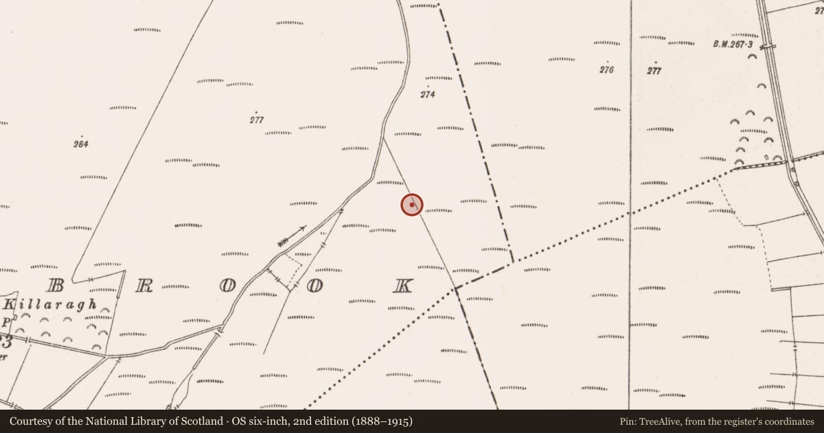 Ordnance Survey six-inch map, 2nd edition (1888–1915) covering the location of Road - class 3 togher, Barrysbrook, County Offaly, with a pin at the register's coordinates