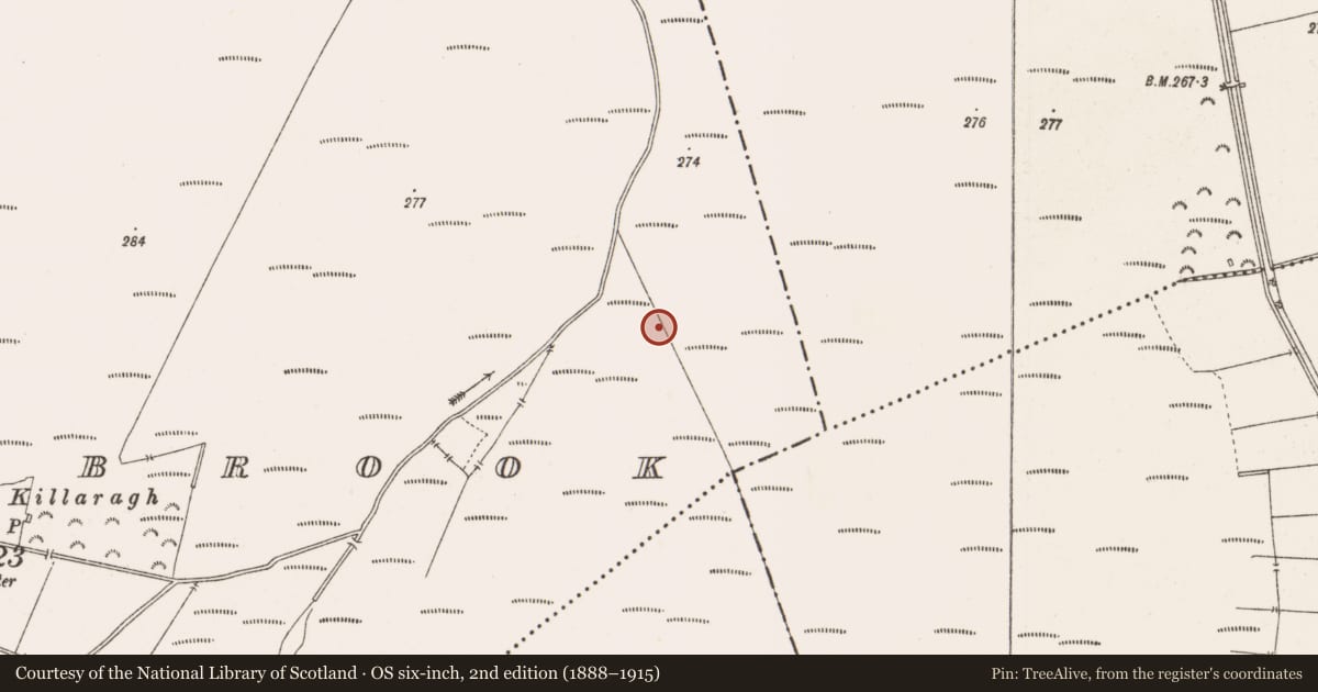 Ordnance Survey six-inch map, 2nd edition (1888–1915) covering the location of Structure - peatland, Barrysbrook, County Offaly, with a pin at the register's coordinates