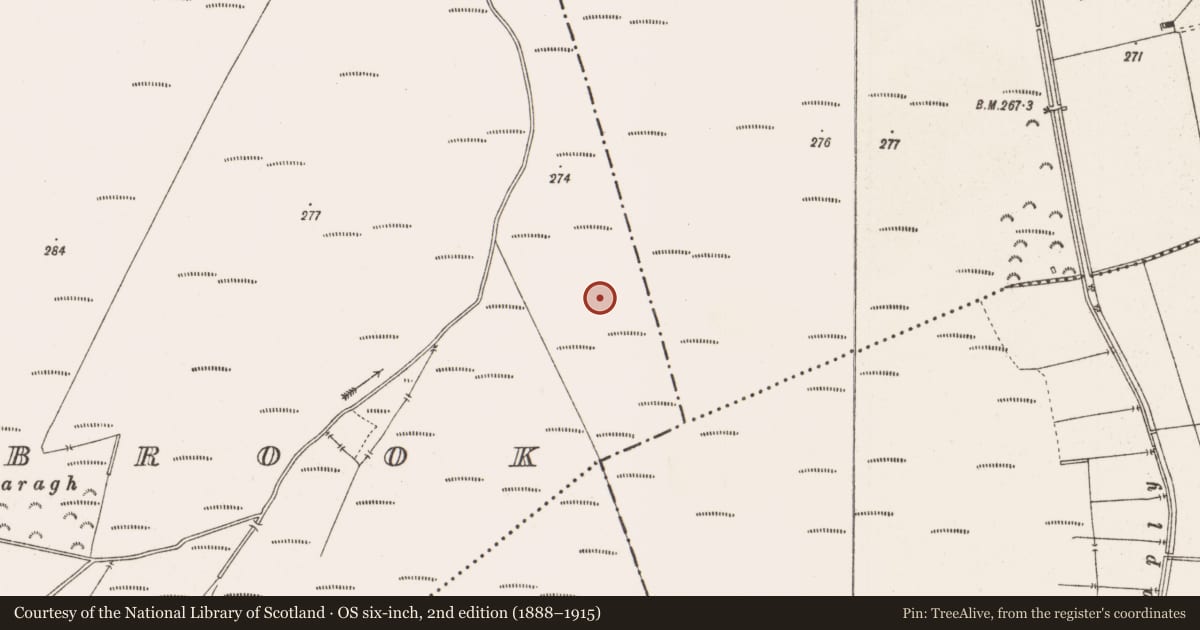 Ordnance Survey six-inch map, 2nd edition (1888–1915) covering the location of Structure - peatland, Barrysbrook, County Offaly, with a pin at the register's coordinates