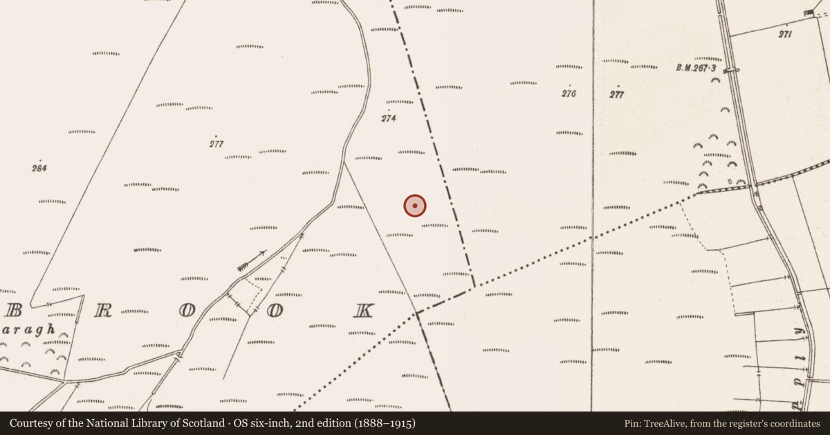Ordnance Survey six-inch map, 2nd edition (1888–1915) covering the location of Platform - peatland, Barrysbrook, County Offaly, with a pin at the register's coordinates