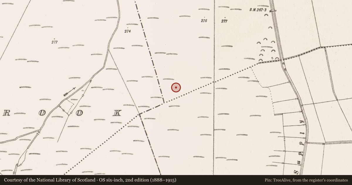 Ordnance Survey six-inch map, 2nd edition (1888–1915) covering the location of Road - class 3 togher, Clonin, County Offaly, with a pin at the register's coordinates