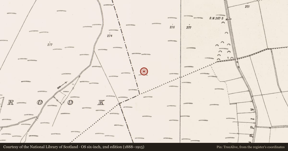 Ordnance Survey six-inch map, 2nd edition (1888–1915) covering the location of Road - class 3 togher, Clonin, County Offaly, with a pin at the register's coordinates