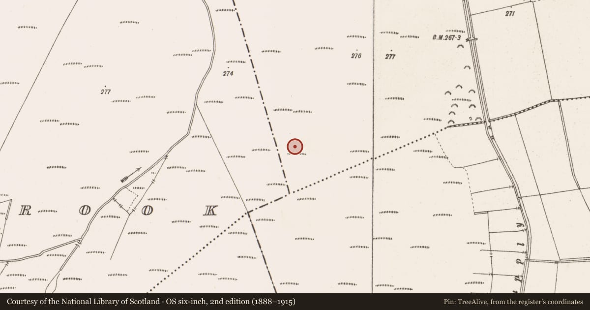 Ordnance Survey six-inch map, 2nd edition (1888–1915) covering the location of Structure - peatland, Clonin, County Offaly, with a pin at the register's coordinates