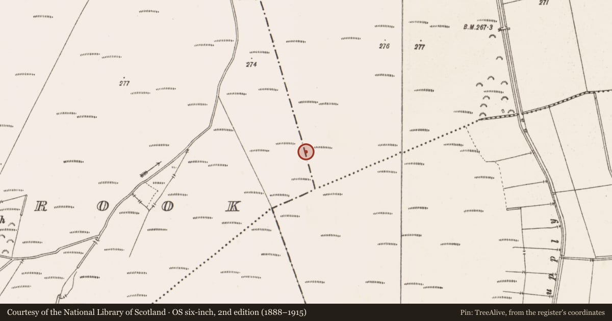 Ordnance Survey six-inch map, 2nd edition (1888–1915) covering the location of Road - class 2 togher, Clonin, County Offaly, with a pin at the register's coordinates