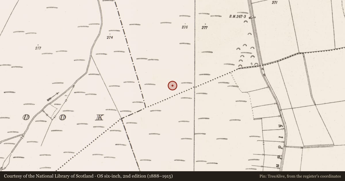 Ordnance Survey six-inch map, 2nd edition (1888–1915) covering the location of Road - class 2 togher, Clonin, County Offaly, with a pin at the register's coordinates