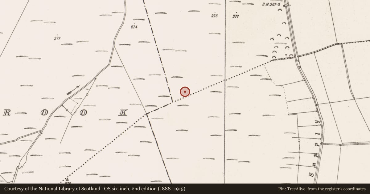 Ordnance Survey six-inch map, 2nd edition (1888–1915) covering the location of Structure - peatland, Clonin, County Offaly, with a pin at the register's coordinates