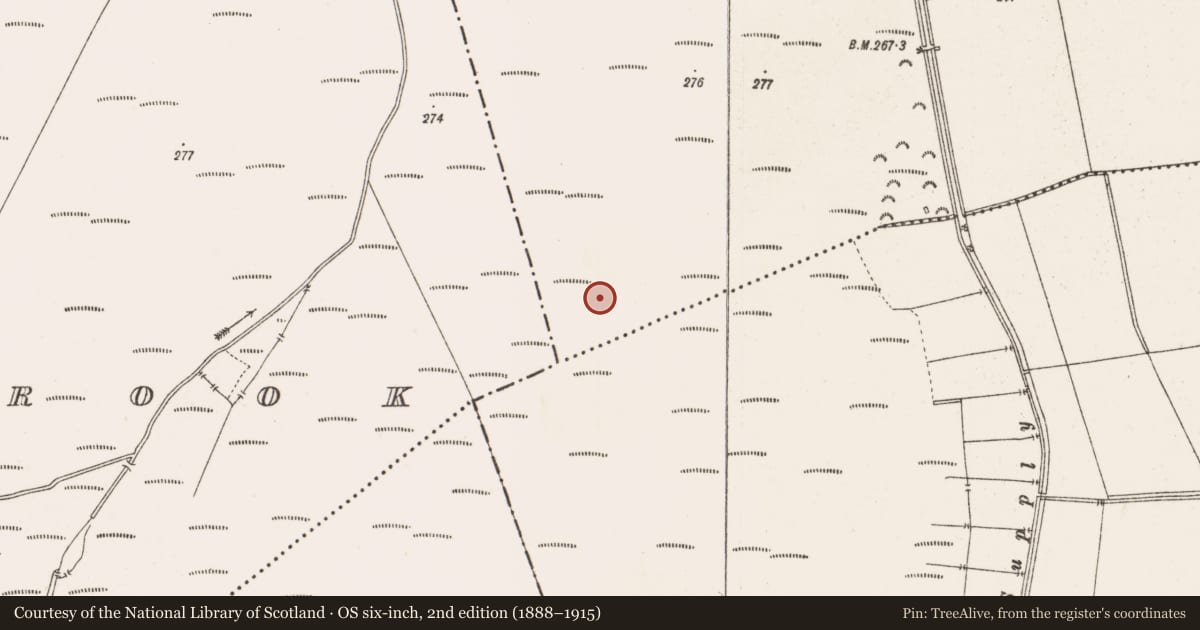 Ordnance Survey six-inch map, 2nd edition (1888–1915) covering the location of Structure - peatland, Clonin, County Offaly, with a pin at the register's coordinates