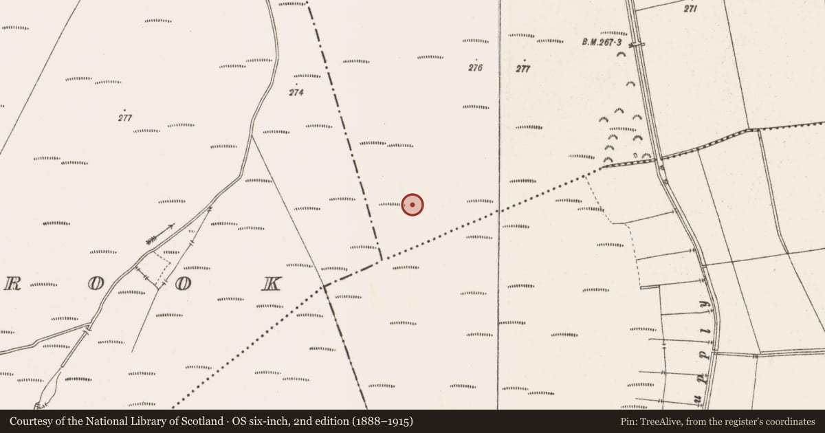 Ordnance Survey six-inch map, 2nd edition (1888–1915) covering the location of Structure - peatland, Clonin, County Offaly, with a pin at the register's coordinates