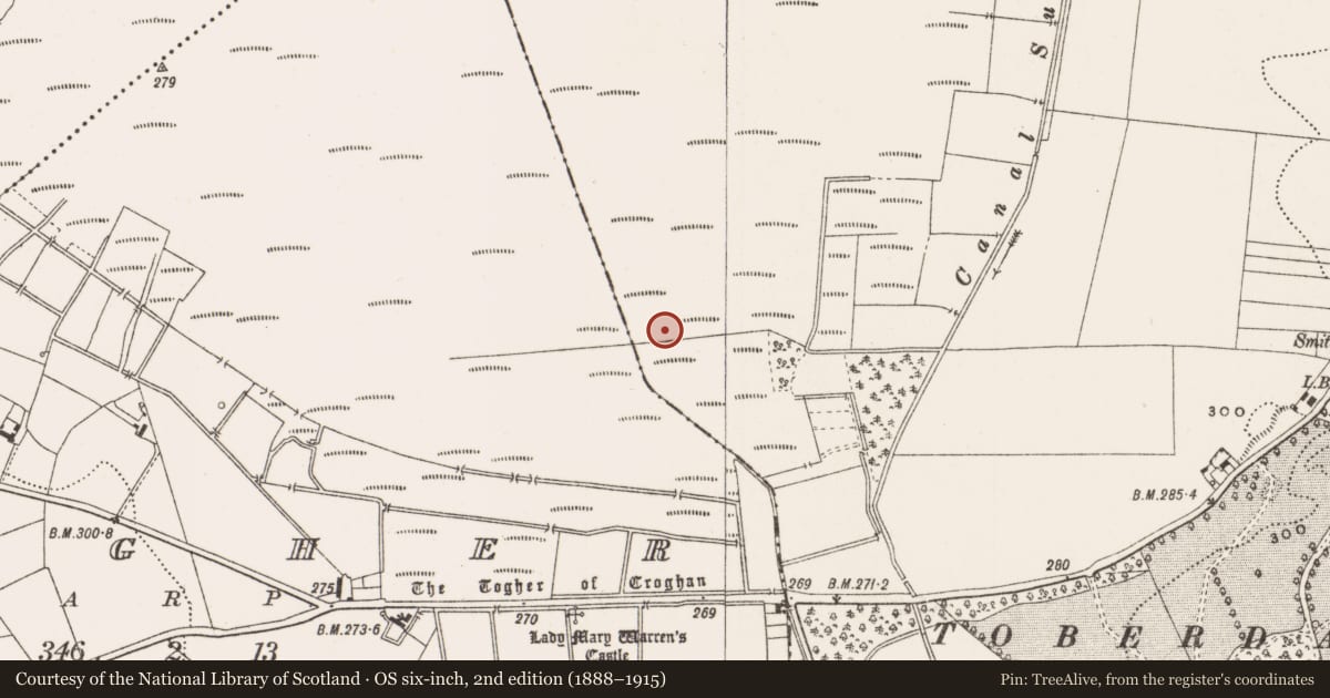 Ordnance Survey six-inch map, 2nd edition (1888–1915) covering the location of Structure - peatland, Toberdaly, County Offaly, with a pin at the register's coordinates
