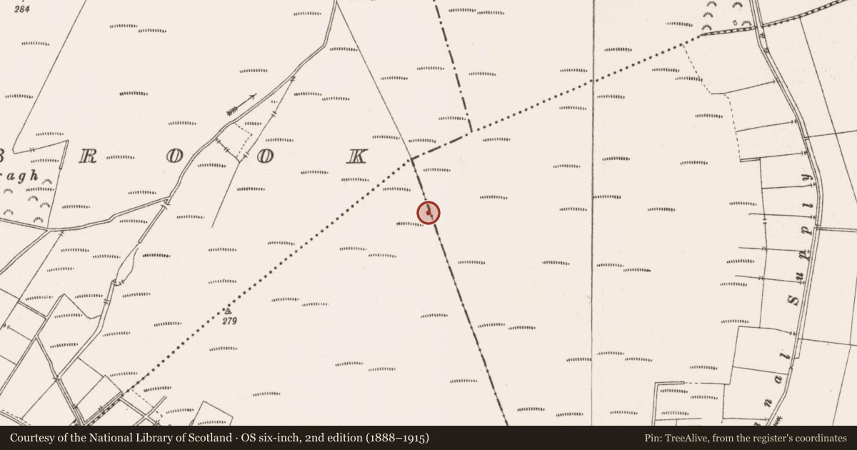 Ordnance Survey six-inch map, 2nd edition (1888–1915) covering the location of Structure - peatland, Toberdaly, County Offaly, with a pin at the register's coordinates