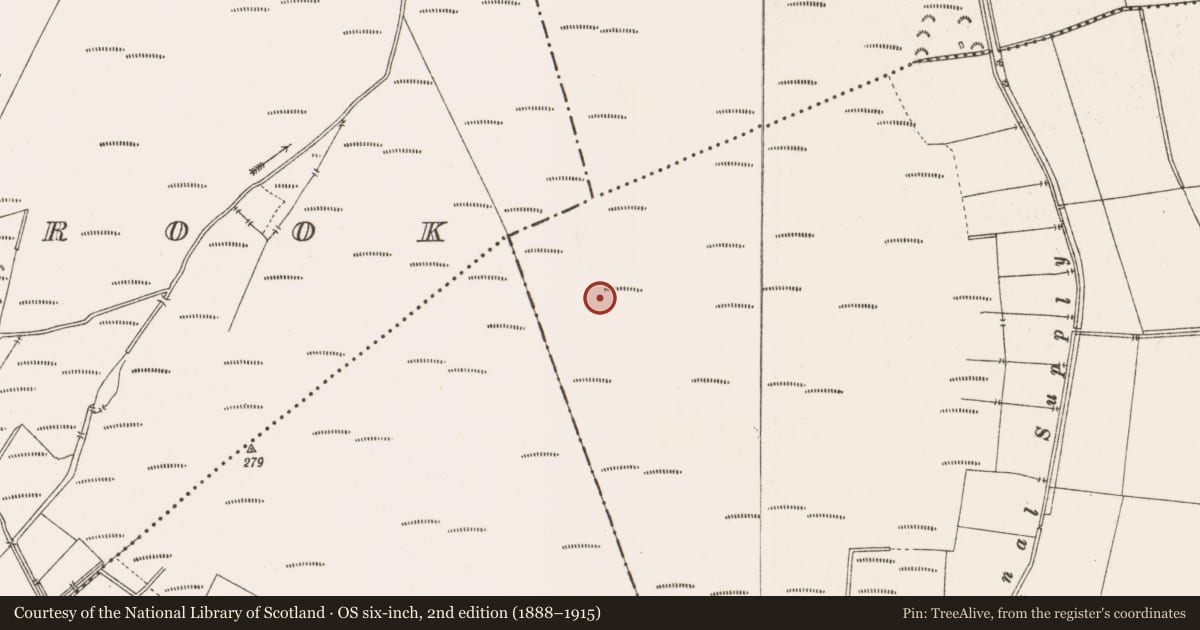 Ordnance Survey six-inch map, 2nd edition (1888–1915) covering the location of Structure - peatland, Toberdaly, County Offaly, with a pin at the register's coordinates