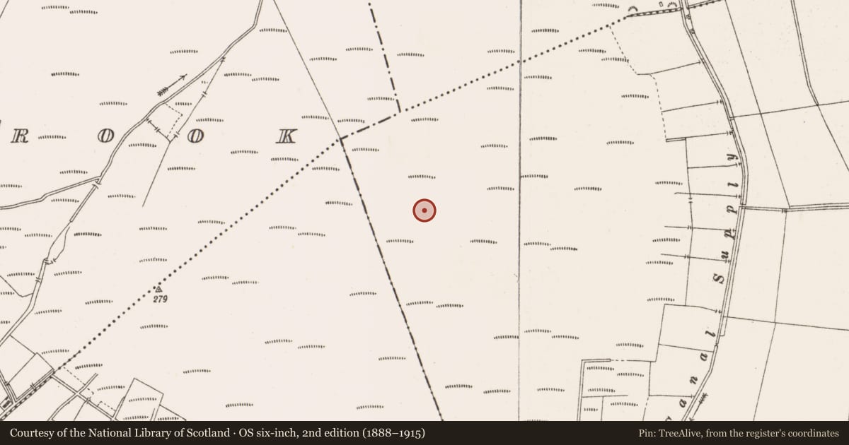 Ordnance Survey six-inch map, 2nd edition (1888–1915) covering the location of Structure - peatland, Toberdaly, County Offaly, with a pin at the register's coordinates