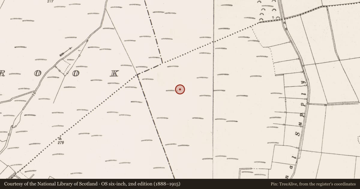 Ordnance Survey six-inch map, 2nd edition (1888–1915) covering the location of Road - class 2 togher, Toberdaly, County Offaly, with a pin at the register's coordinates