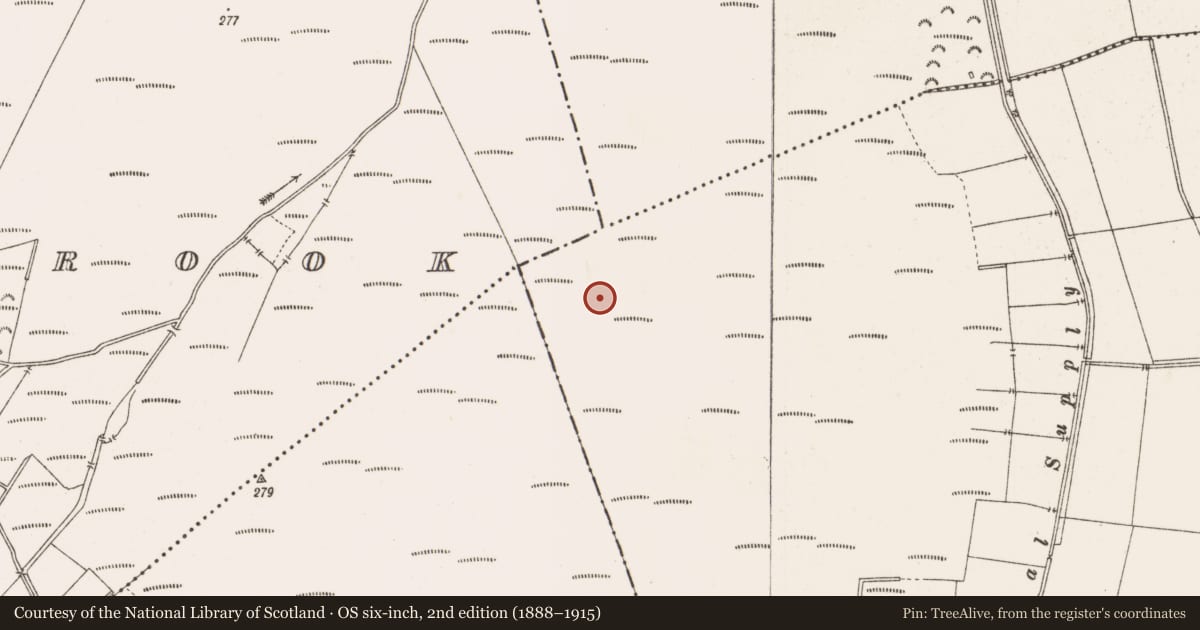 Ordnance Survey six-inch map, 2nd edition (1888–1915) covering the location of Road - class 3 togher, Toberdaly, County Offaly, with a pin at the register's coordinates